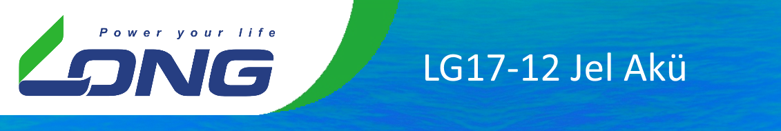 lg17 12 banner